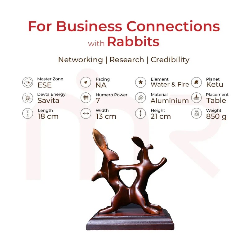 Rabbits - Develops Beneficial Business Connections - Image 2