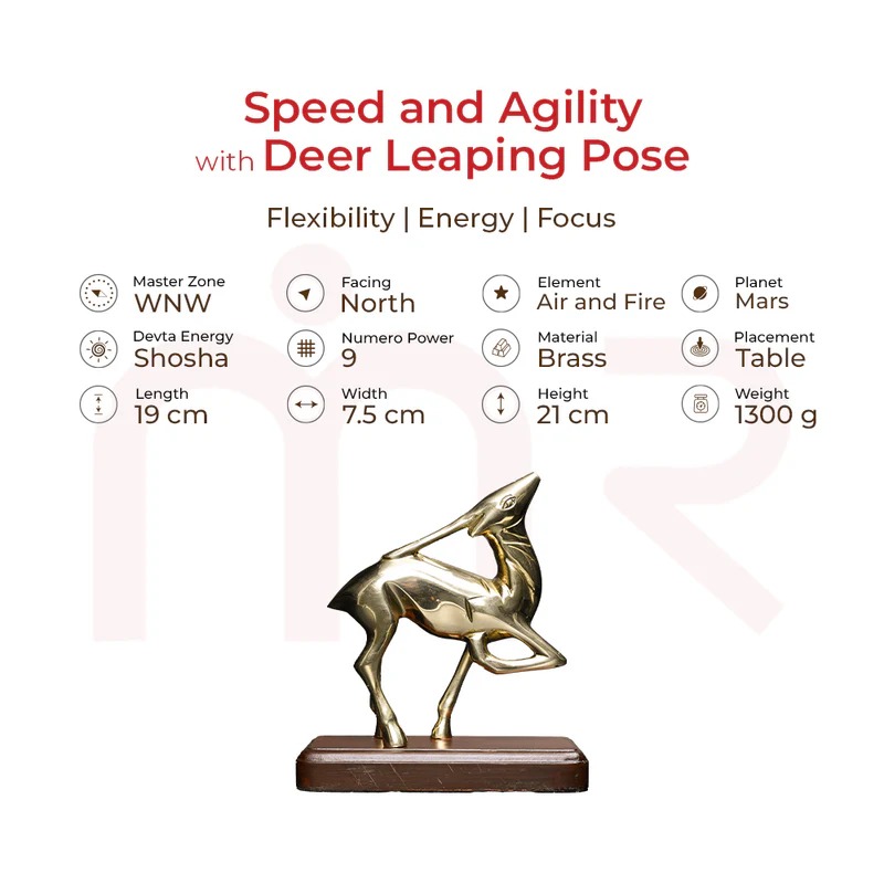 Deer Details