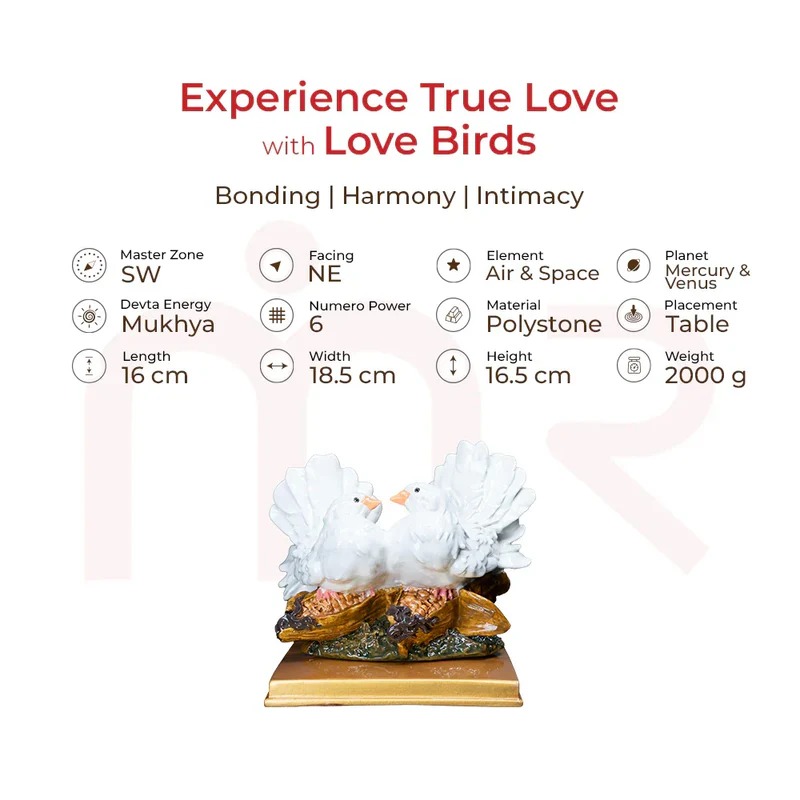 Love bird detail
