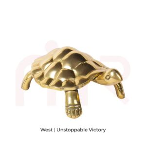 Tortoise - Unstoppable Victory through Patience and Perseverance