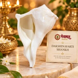 Dakshinavarti Shankh